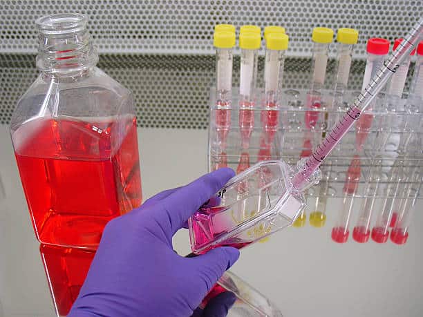 Cell Culture