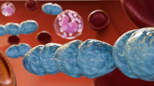 Cell Lysis