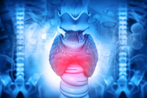 Endocrine Testing