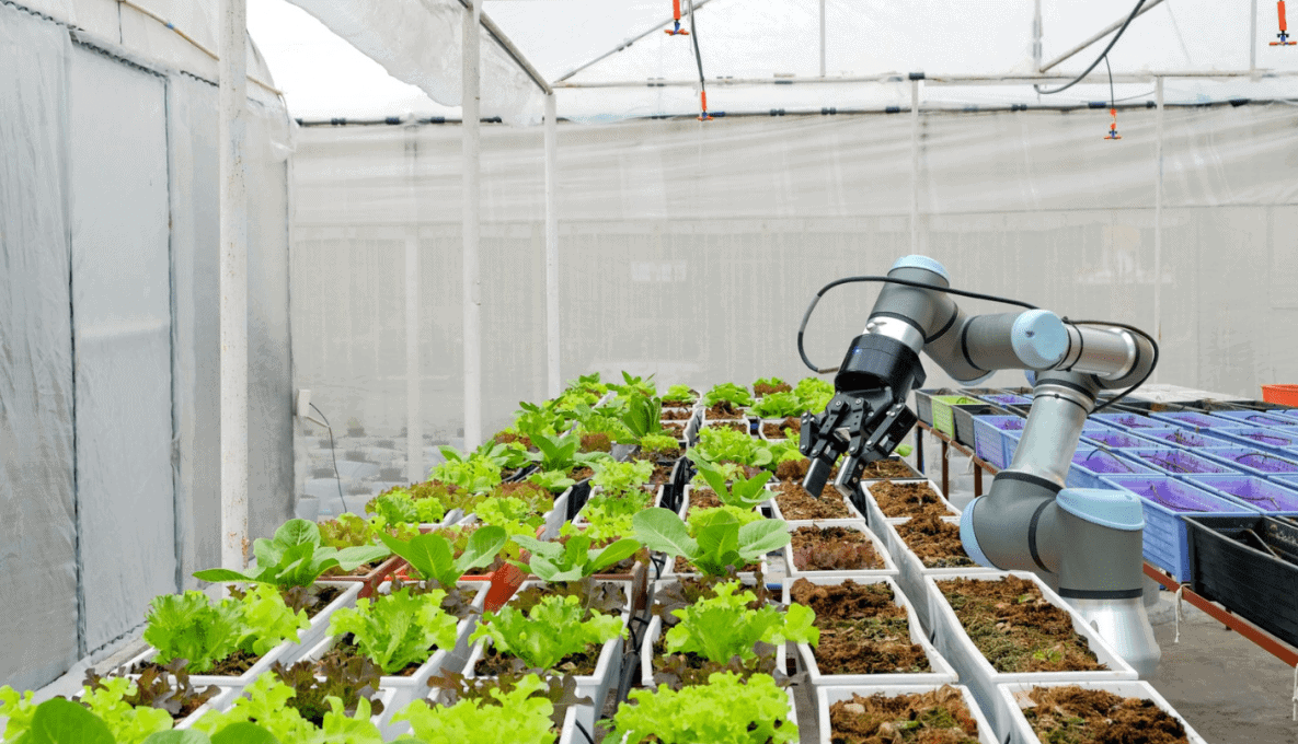 Header-Image--Robots-in-Ag-crop-1185x680