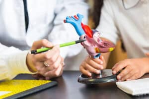 Heart Valve Market