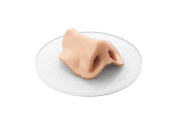 Regenerative Artificial Skin