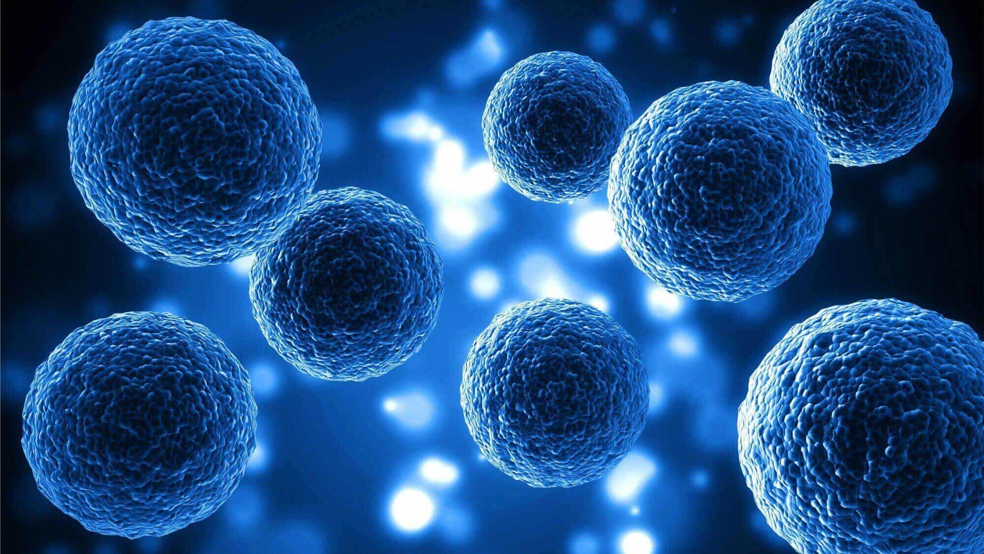 Regenerative Medicine Market4
