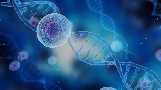Single-Cell Genome Sequencing