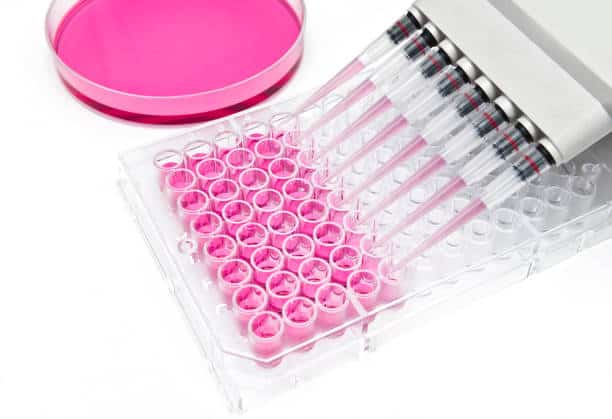 istockphoto-1074805756-612x612