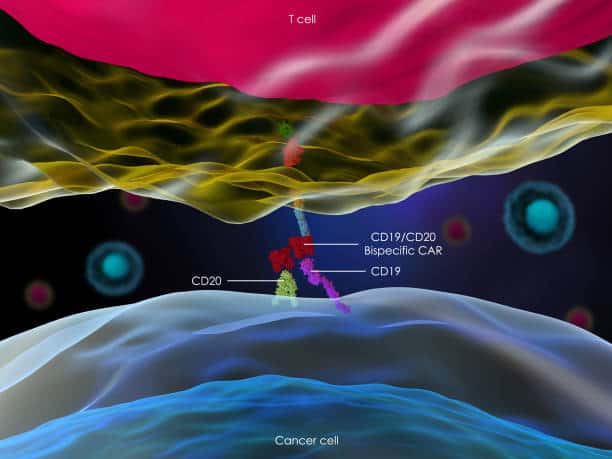 Singapore Bispecific Antibodies Market Gears Up for Global Impact