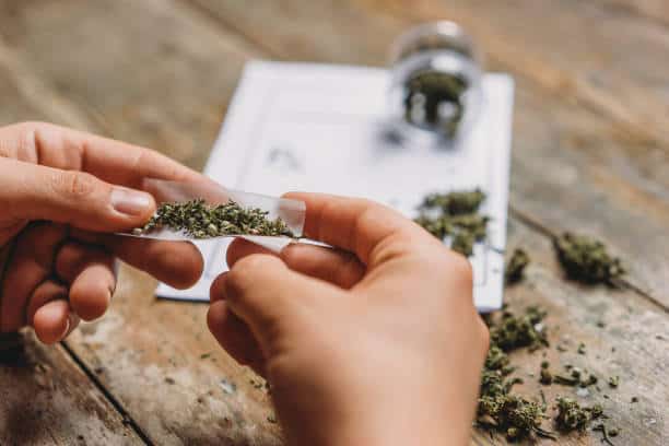 Legal Cannabis Market Expansion: A Decade of Insights on Growth Potential by 2034