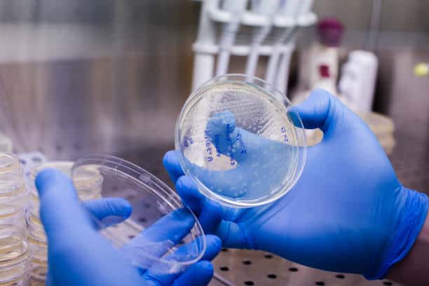 Europe CAR-T Cell Therapy Market Dynamics: Key Trends Shaping Size and Share Through 2034