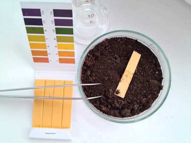 Life Science Tools and Reagents Market Evolution: Projecting Size, Share, and Growth to 2034