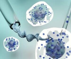 Cell and Gene Therapy CDMO