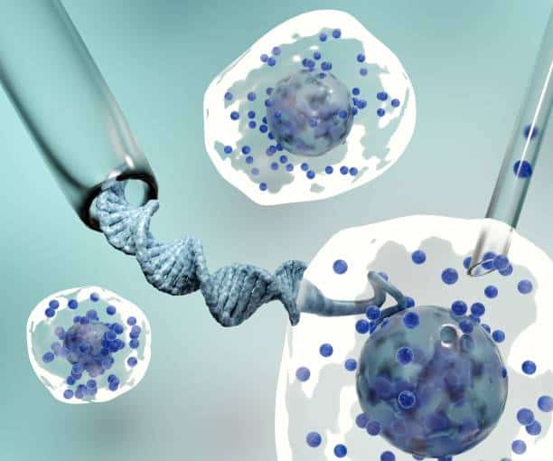 U.S Cell and Gene Therapy CDMO Market Study: Comprehensive Segmentation and Forecast
