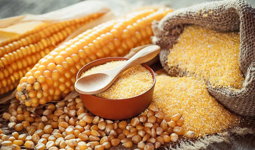 Cornmeal Market Projected to Reach USD 998.3 Million by 2030, Growing at a CAGR of 3.9%
