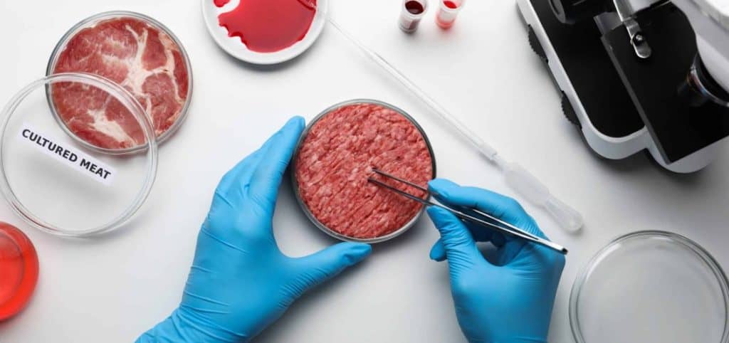 Cultured Meat