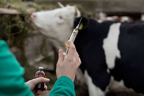Farm Animal Healthcare