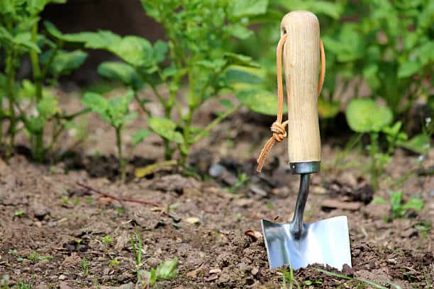 Garden Hand Tools Market Report: Comprehensive Overview of Developments
