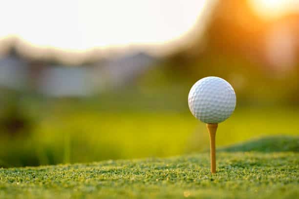 Golf Tees