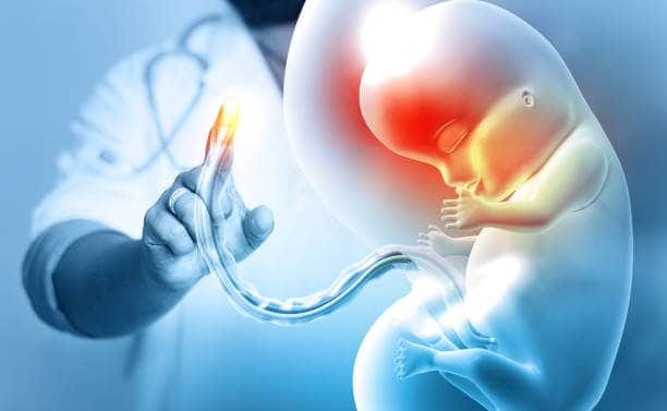 China Medical Imaging VNA/PACS Market Trends: Emerging Innovations and Dynamics