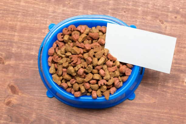 Pet Food