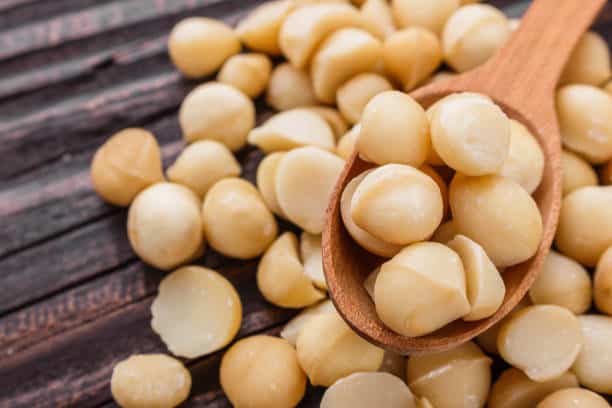 Asia Pacific Macadamia Market Analysis: Unlocking Growth Potential in the Next Decade (2025-2035)