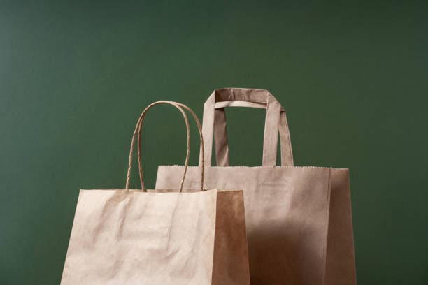 U.S. Recycled Paper Bags Market Transformations: Charting the Growth Curve by 2035