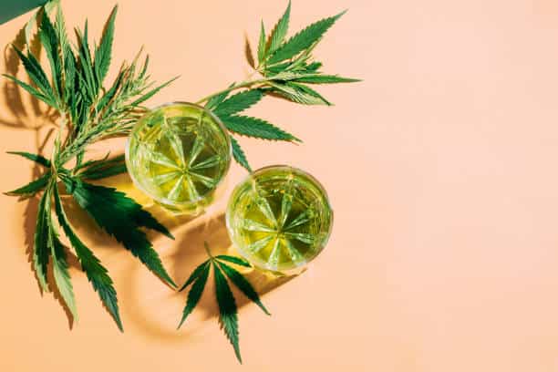 CBD Infused Beverages Market Future Scope: Size, Share, and Growth Projections by 2037
