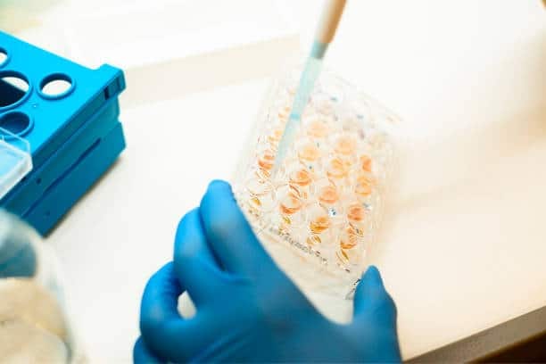Bone Marrow Aspirate Concentrate Market Gears Up for Global Impact