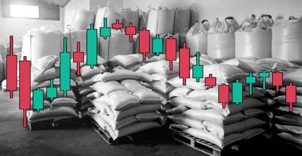 India Seed Sector Analysis Market Outlook 2035: Size, Share, and Growth Insights Revealed
