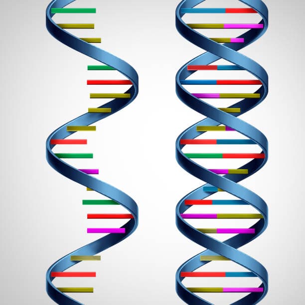 istockphoto-2080035417-612x612
