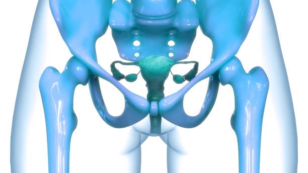 U.S. Ovulation Testing Kits Market Projections: Decoding Growth and Share Trends to 2035