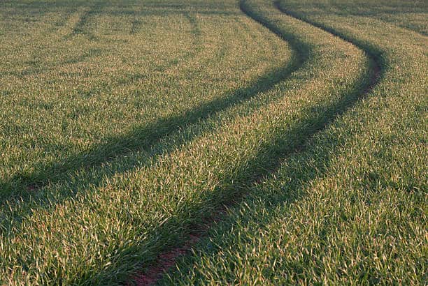 Asia Pacific Agricultural Adjuvant Market Spotlight: Size, Share, and Growth Trends Explored through 2037