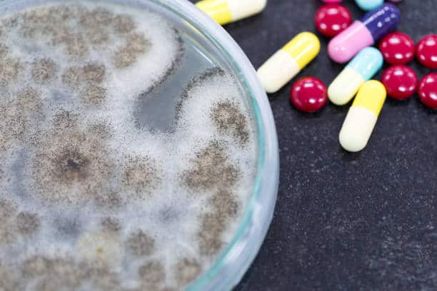 EZH2 Inhibitors Market Pathways: Comprehensive Analysis of Size, Share, and Growth Trends until 2035