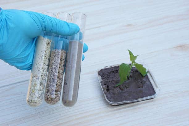 Bio-based Leather