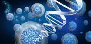 Cell Therapy