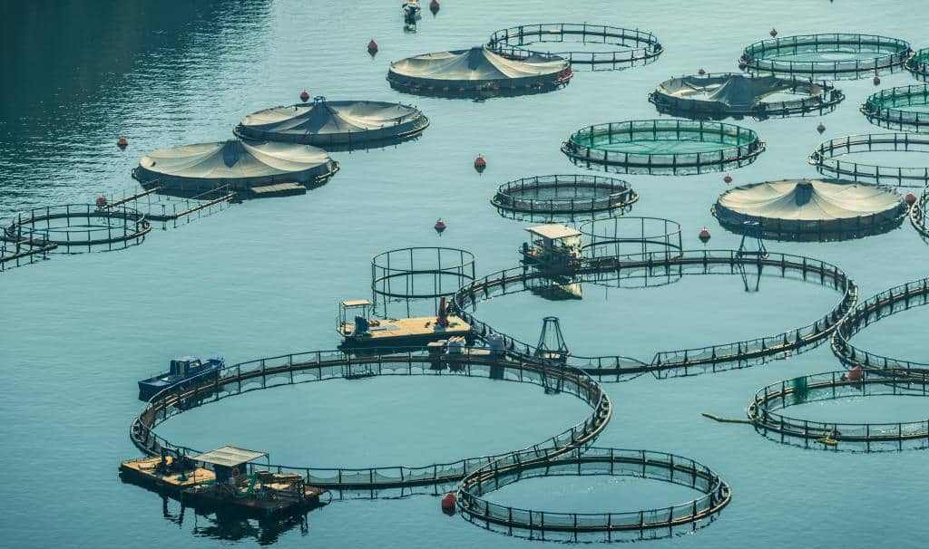 aquaculture