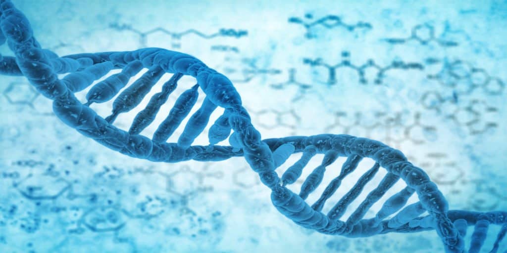 gene2-1024x512-1