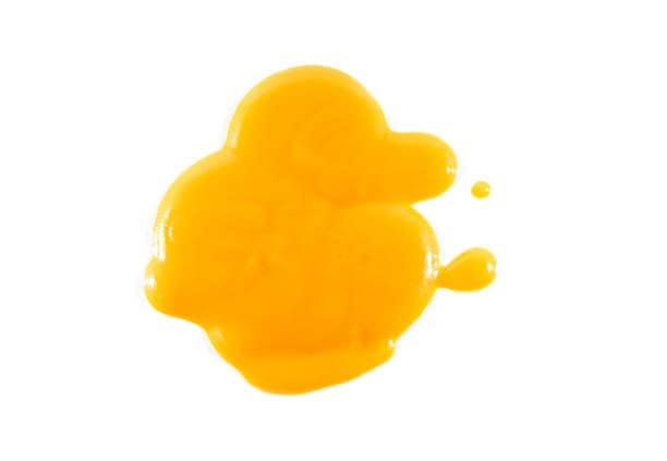 Mango Puree Market Outlook 2035: Size, Share, and Growth Insights Revealed