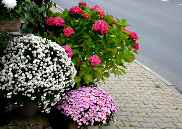 istockphoto-1281022788-612x612