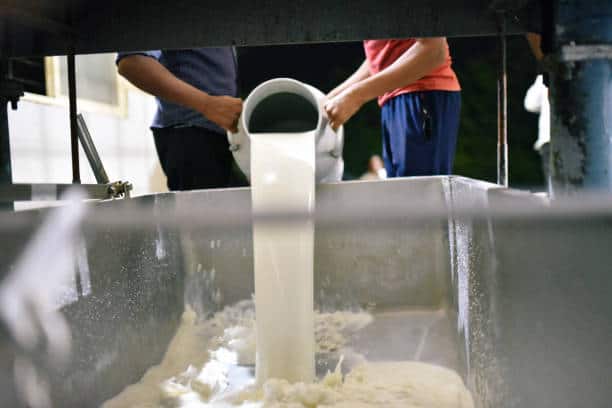 India Food Processing Industry Market : Analyzing the Impact of Regulatory Changes (2025-2035)