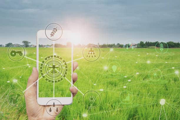 Food Traceability Market Setting New Growth Cycle; Get 2025 Edition Now”