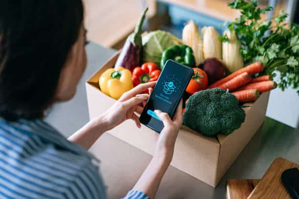 Online Grocery Market Future Scope: Size, Share, and Growth Projections by 2035