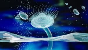 istockphoto-1448275750-612x612