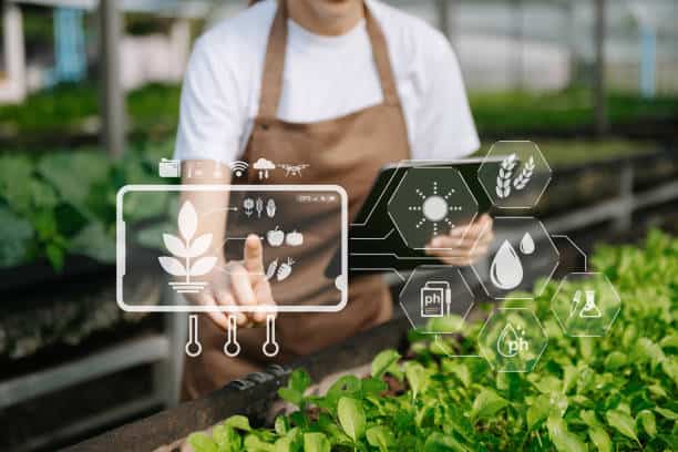 istockphoto-1503315469-612x612
