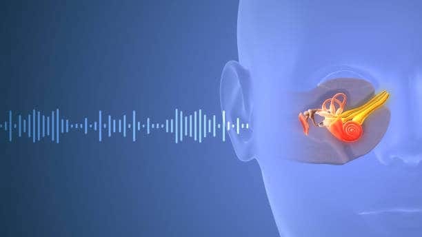 China Medical Animation Market In Focus: Size, Share, and Growth Trends Explored through 2035