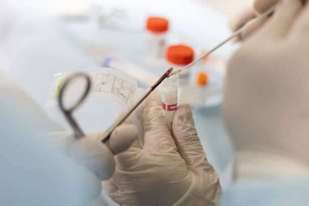 Japan Flavoured Veterinary Medications Market Economic Impact Analysis, 2025-2035