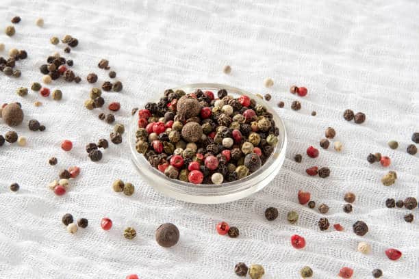 Pet Food Nutraceutical Market : Future Prospects and Industry Analysis (2025-2035)