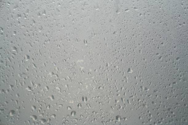 Hydrophilic Coatings Market Revealed Horizons: Forecast 2035 Size, Share, and Growth Insights