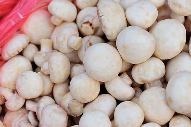 Mushroom Market Economic Impact Analysis, 2025-2035