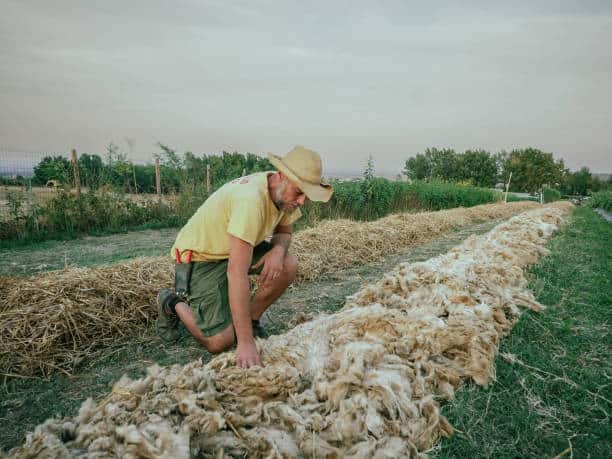 Biodegradable Plastic Mulches