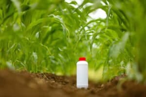 Biofungicide