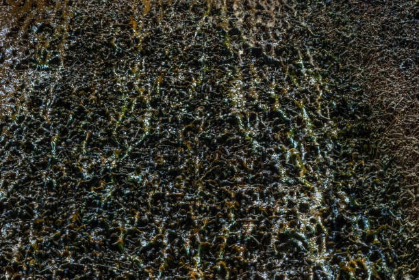Brine Concentration
